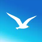海鸥加速器免费app